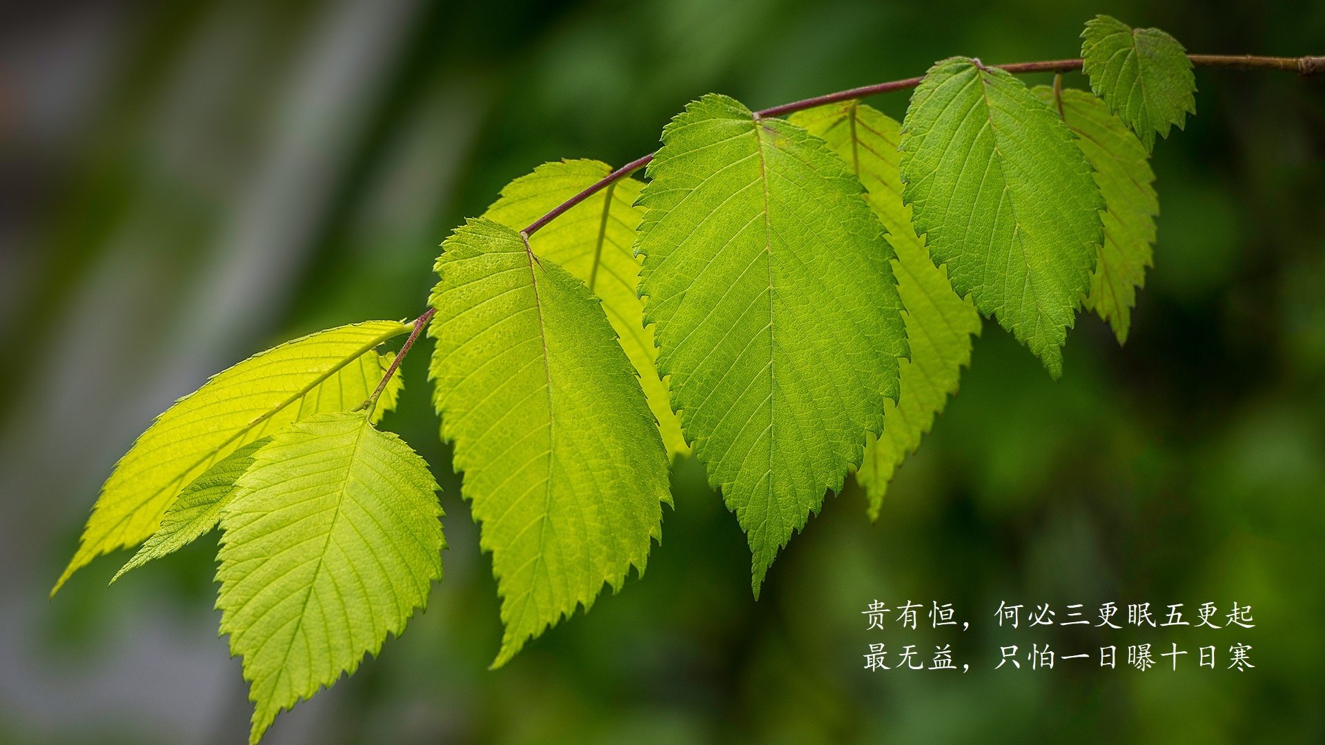 西班牙小组赛最佳球员：中场掌控者登场，西班牙队中场奢华