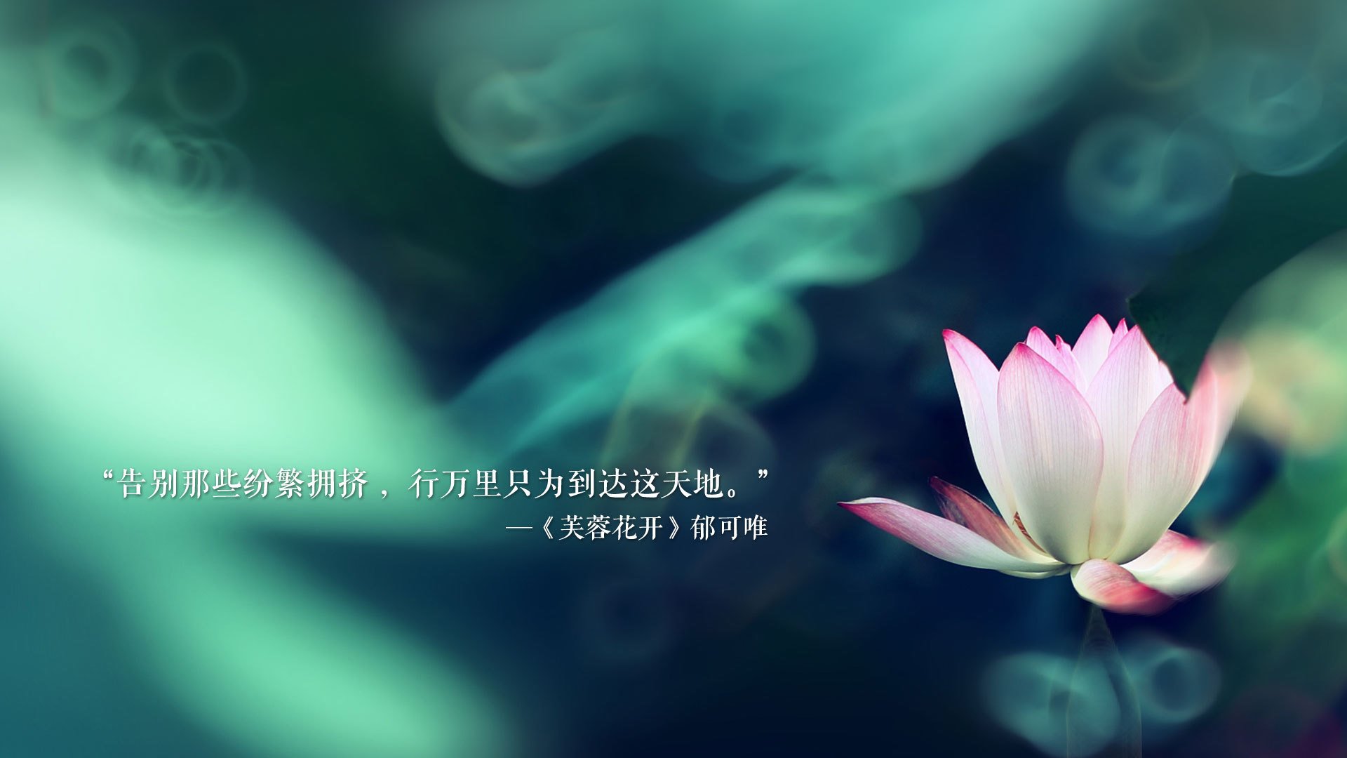 逆境中的“英雄豪杰”——不抛弃不放弃的精神，逆境时不放弃