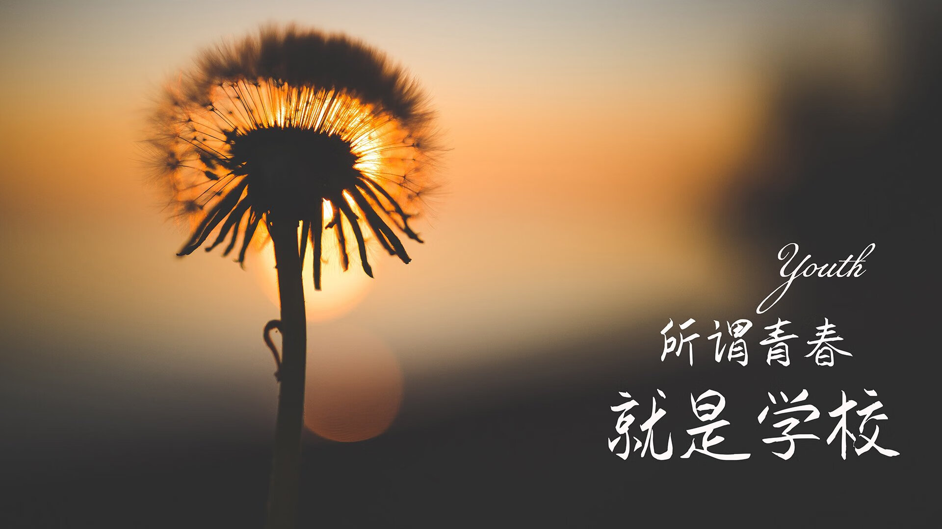 PSV前锋卢克·德容以29球荣膺荷甲最佳射手。，卢克和露茜_德州游侠