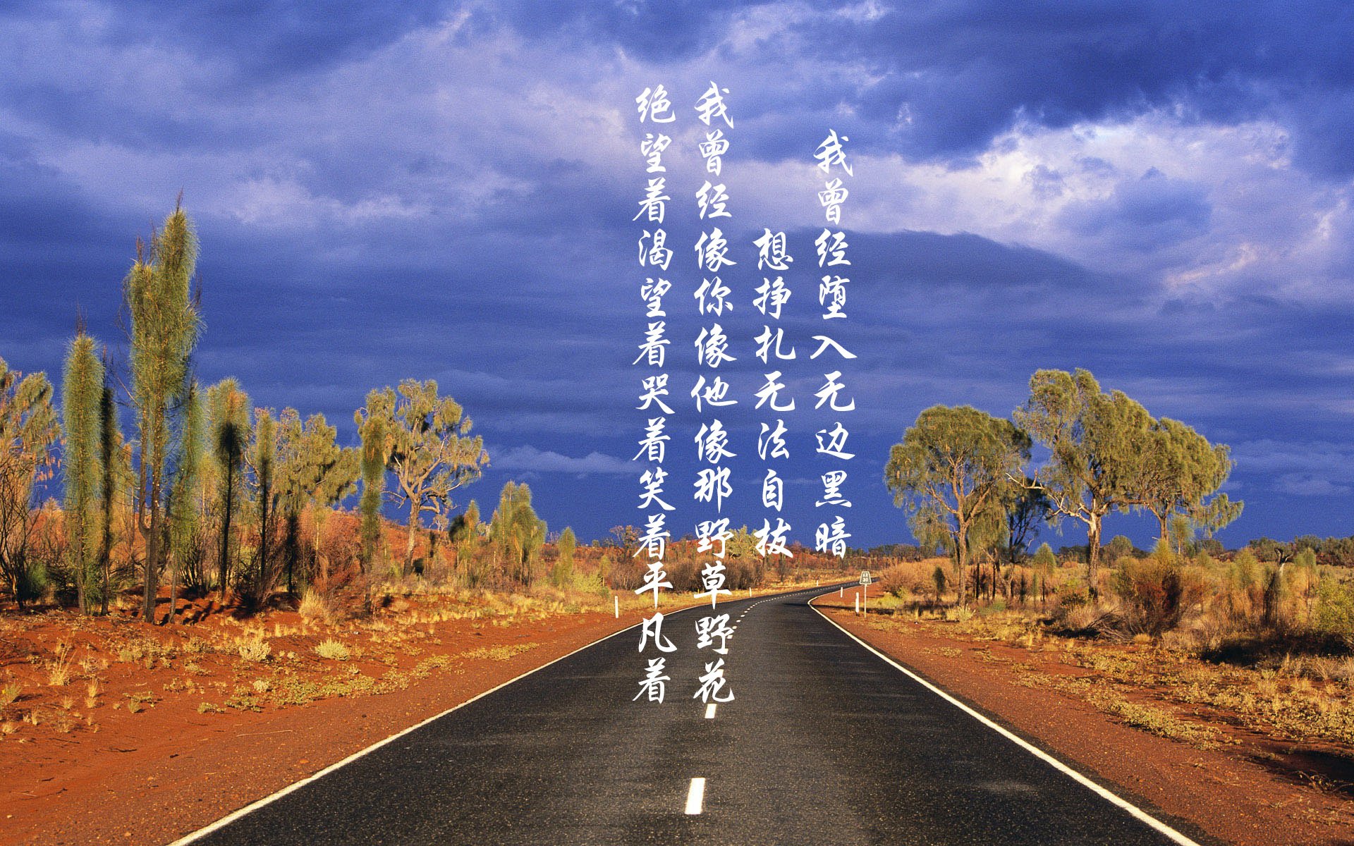 卡利亚里主场击败亚特兰大，实现反击，卡利亚里转入球员