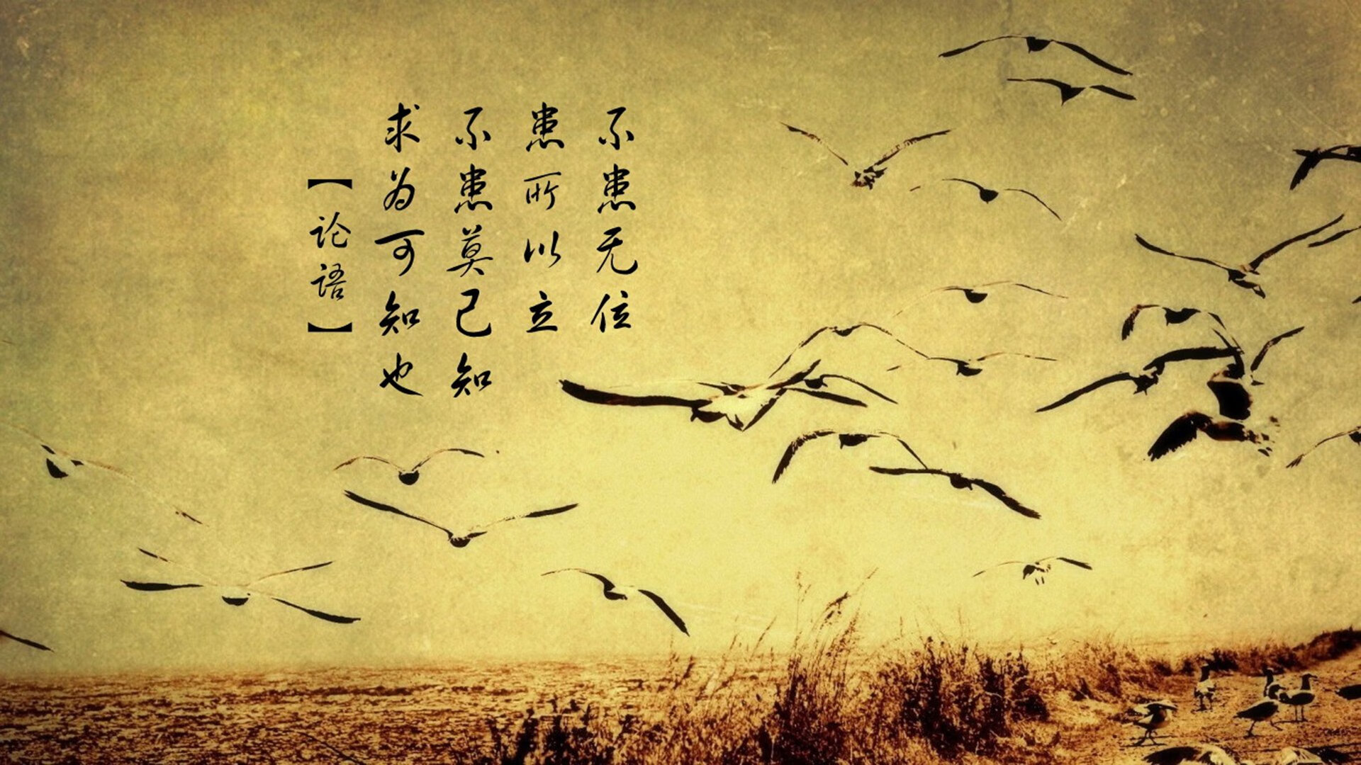 篮球专项技能训练课程开发与应用，篮球专项技术