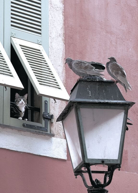 俱乐部战略规划缺乏执行力,俱乐部未来规划