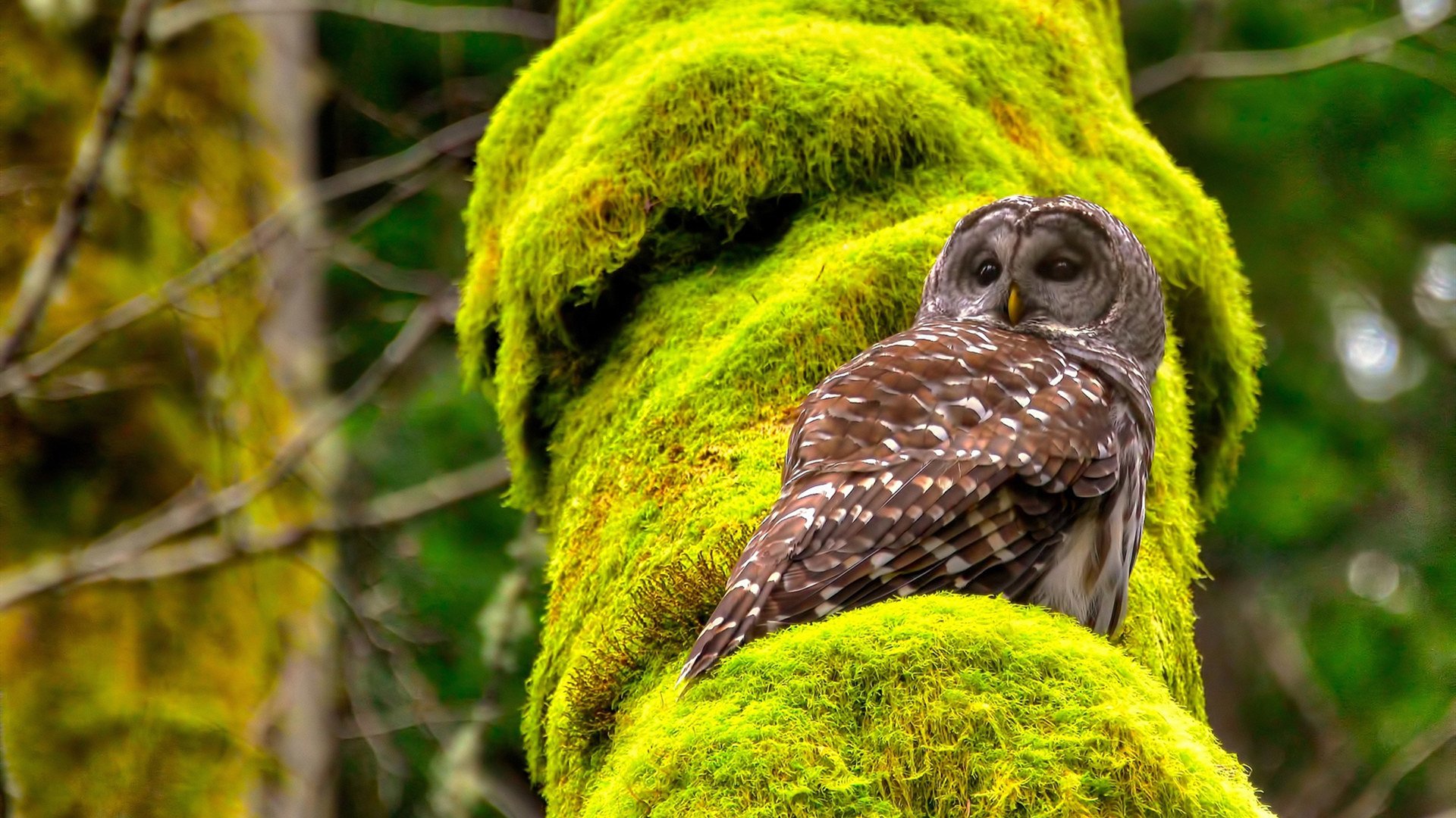 全国体育教师教案大赛推动教学创新，全国体育教师教学技能大赛