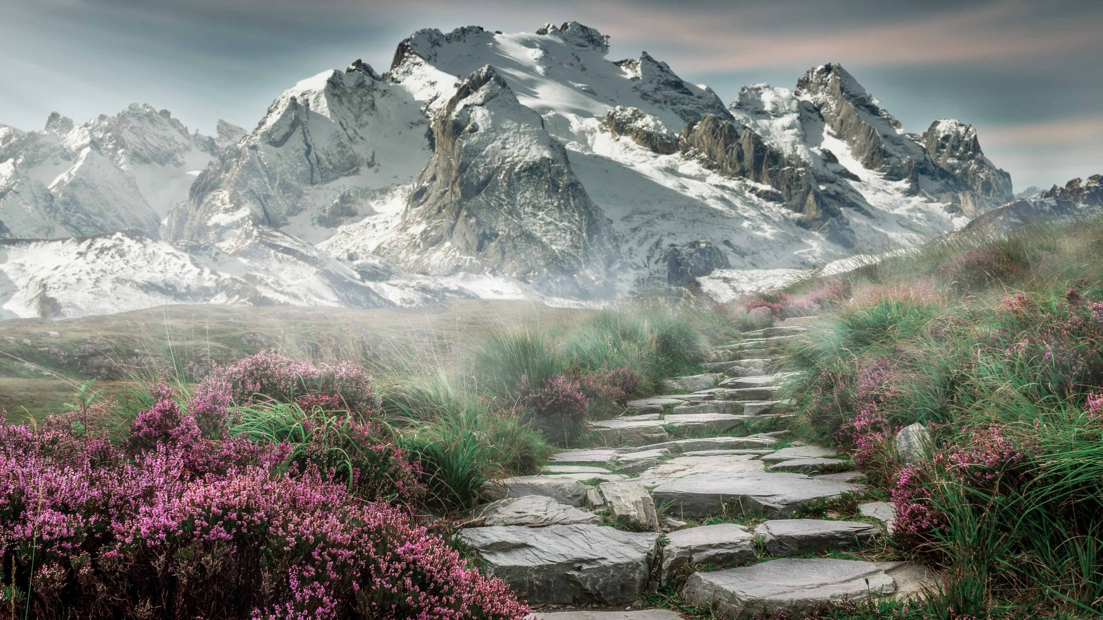 体育新闻中心构建跨平台体育评论系统内容共管机制,体育互联网平台格局