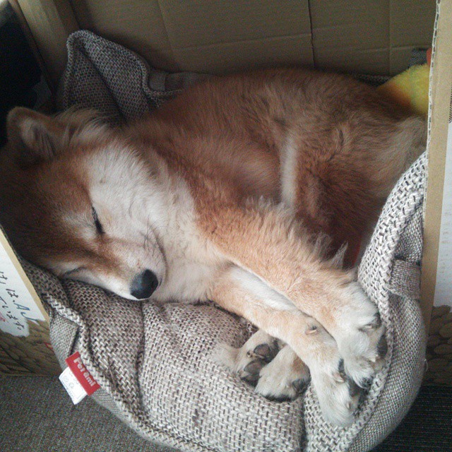 开云官网首页-新闻中心加快产研融合步伐，推进产学研深度融合支持牵头组建创新联合体