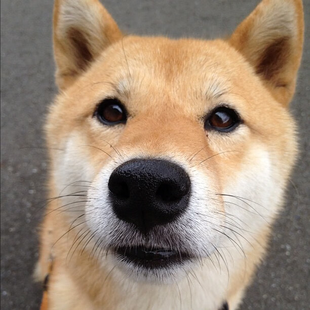 球队是否应优先弥补中场还是锋线短板决定战绩变化，球队中哪个位置最重要