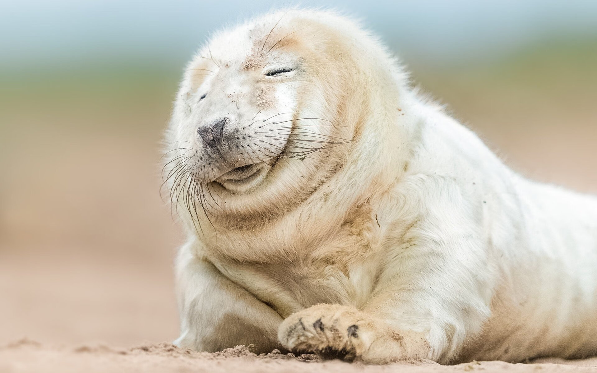 开云体育中国官网-球队在暂停后应优先稳定节奏还是调整战术，暂停时队员必须离开比赛场区吗