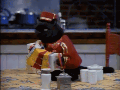 中国女子接力组合泳姿协调获赞,中国女子接力游泳夺冠视频