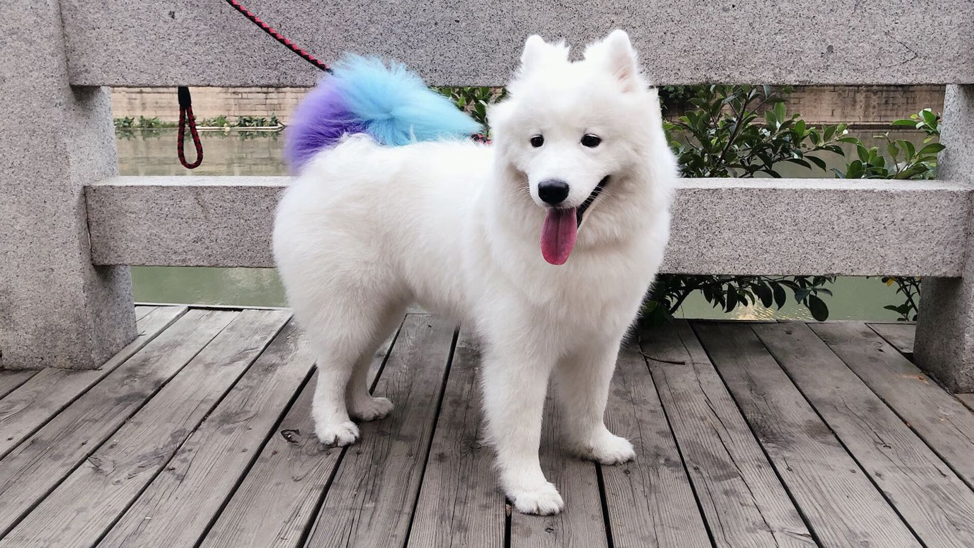 中国足球职业俱乐部青训体系创新实践，中国足球青训理念