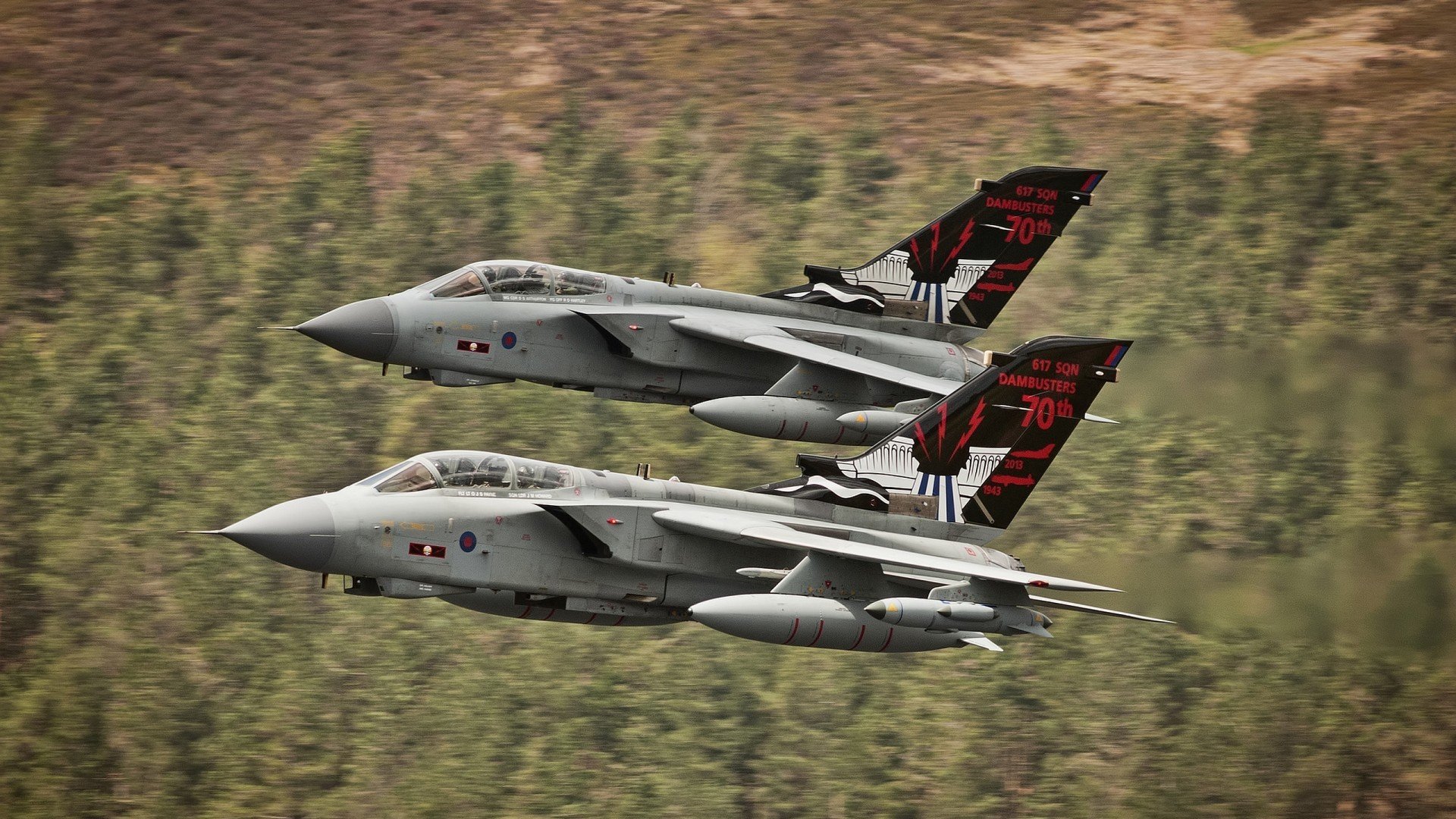 仰泳选手滑行距离增加，节奏更稳，仰泳的推进力在哪里