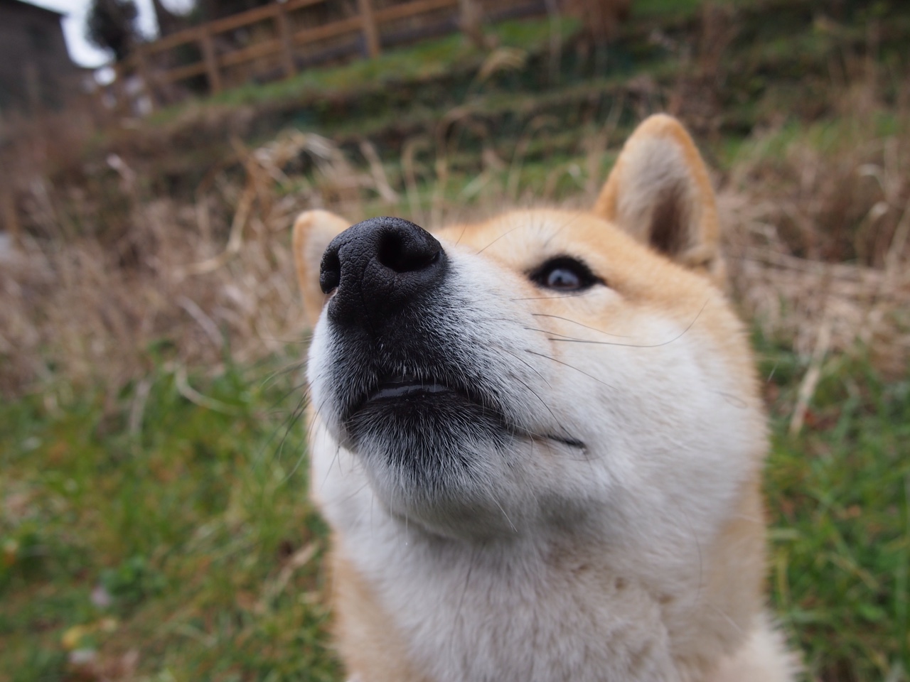 女子滑板运动比赛掀起热潮，女子滑板世界冠军
