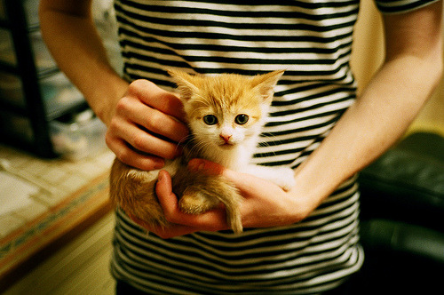 开云下载-希腊女篮在欧洲锦标赛中再夺金牌，传统劲旅再创辉煌，希腊女子篮球超级联赛ds