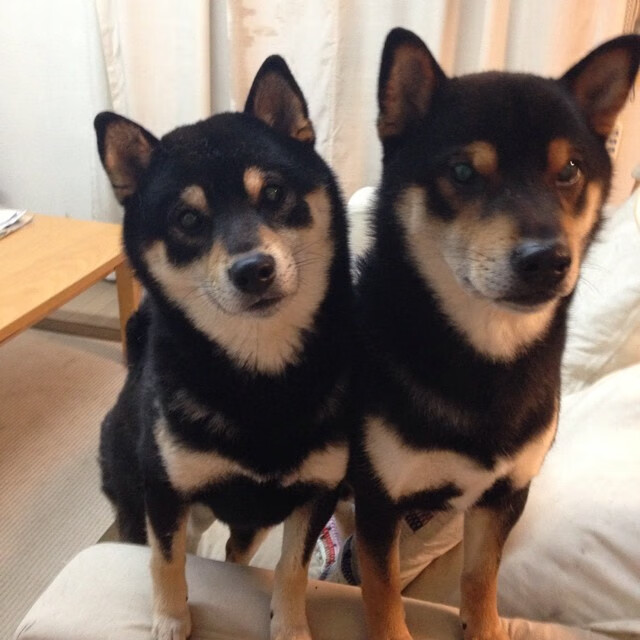 kaiyun登录入口-意甲终极角逐：踢出最精彩的战术盛宴，意甲队伍