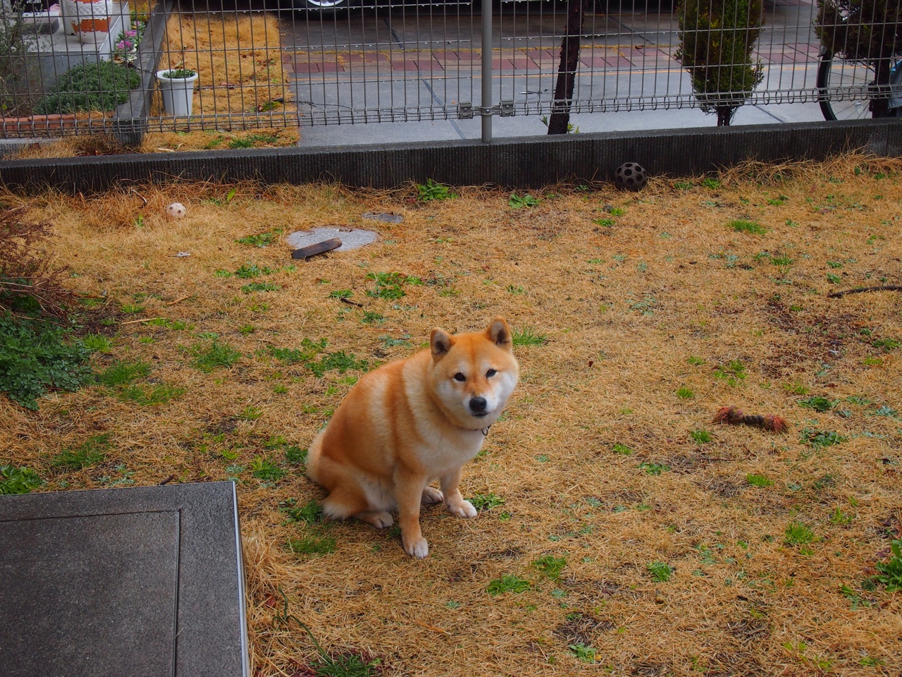 开云·体育官方网站入口-欧洲杯倒数第四秒的传球：精彩托盘让人屏息，欧洲杯传奇