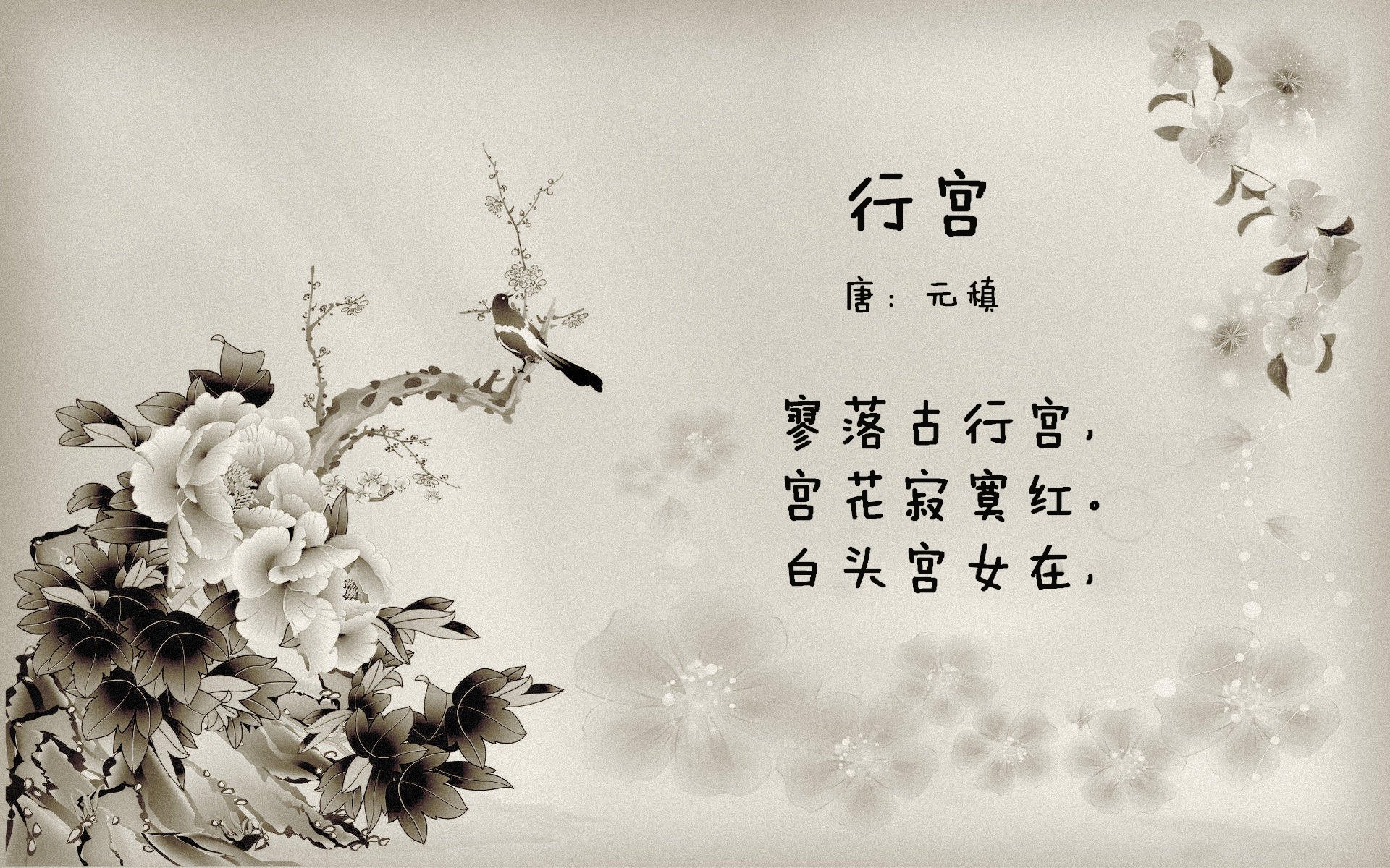 王宗源男子3米跳板稳步提升，王宗源男子3米跳板稳步提升视频