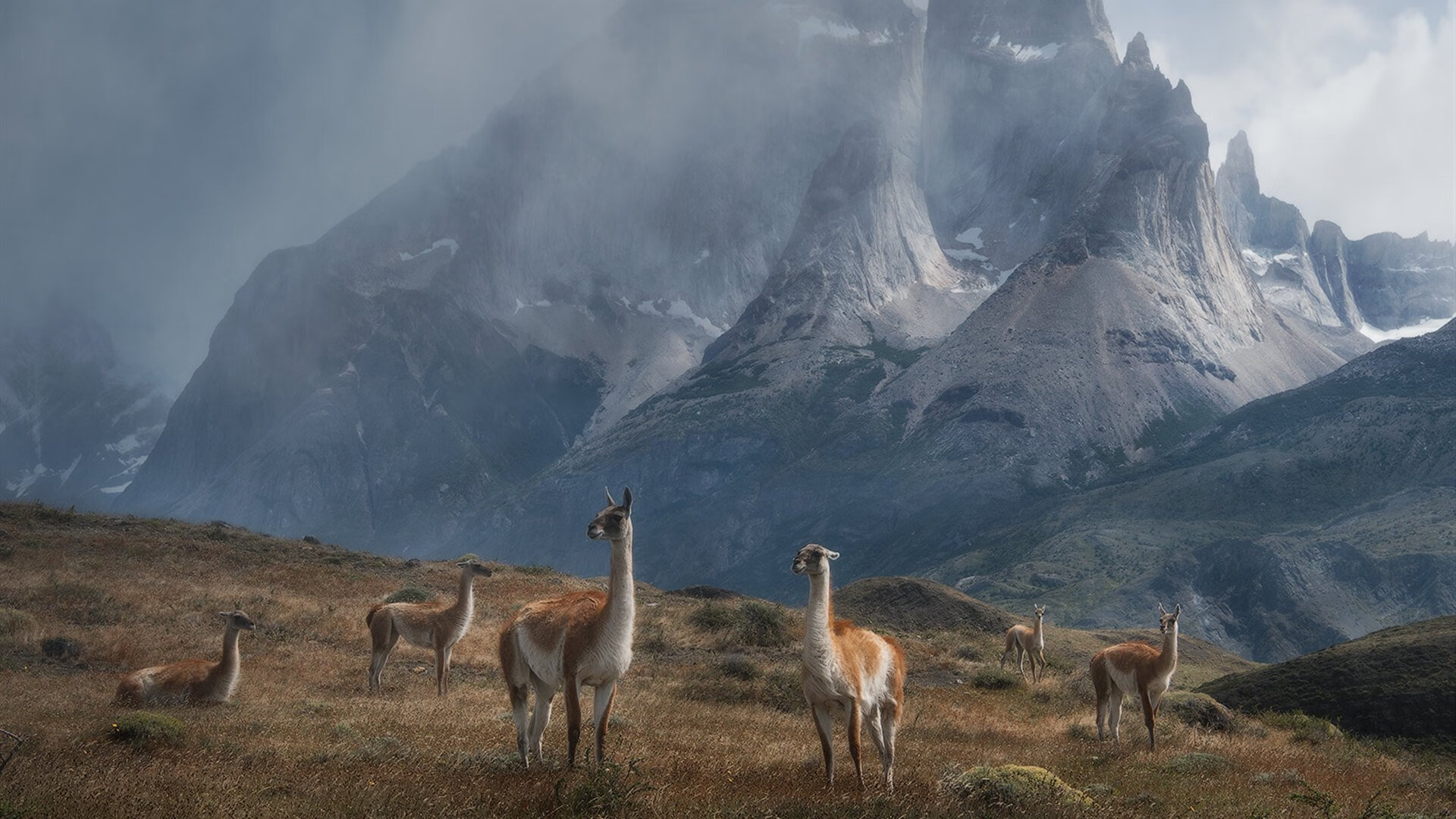 开云官方网页登录-道格拉斯用速度与技巧双剑合璧，道格拉斯属于什么水平