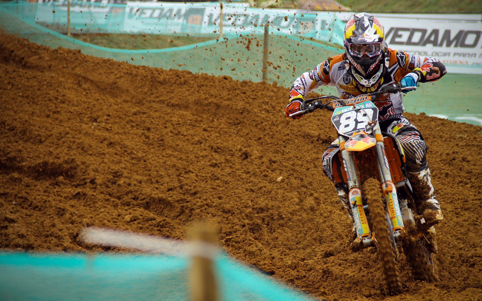 伊朗散打队夺2金3银1铜，展现强劲实力，伊朗拳击世界冠军