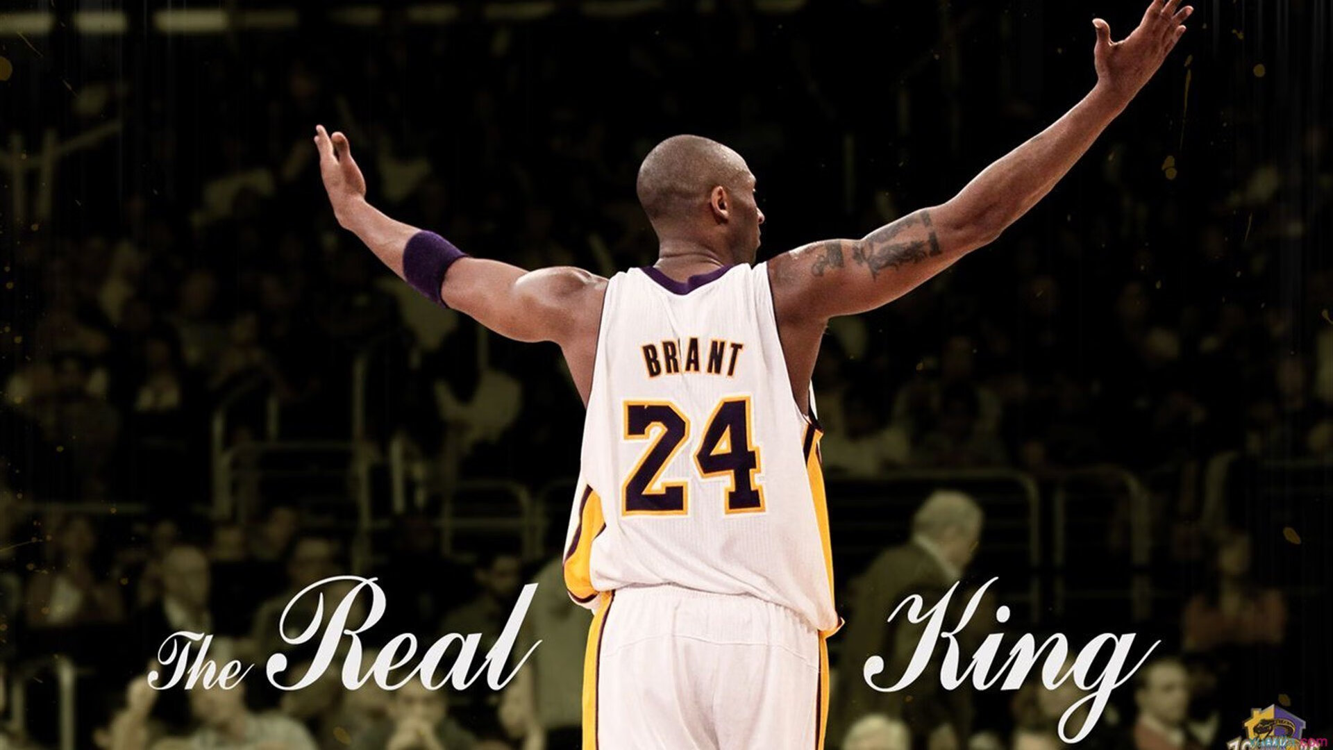 最佳瞬间：王强末节关键三分助球队反超，现场沸腾！